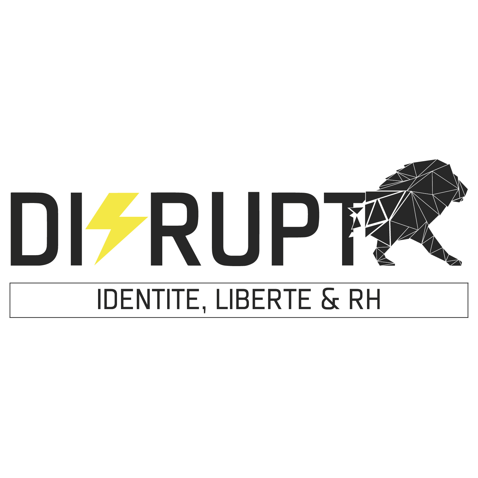 Disrupt RH 2017